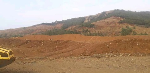 Nickel ore